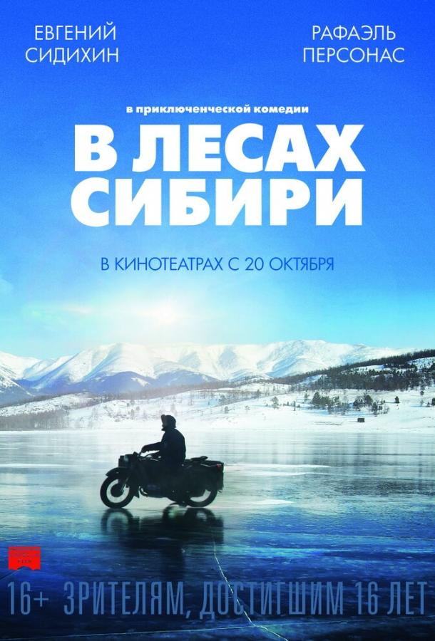 Фильм В лесах Сибири 2016 смотреть онлайн: драма с Рафаэлем Персонасом и Евгением Сидихиным
